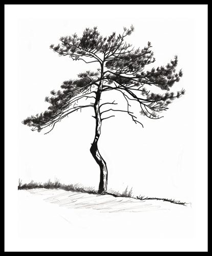 Plakat 40x50cm Samotna Sosna na Arena.pl