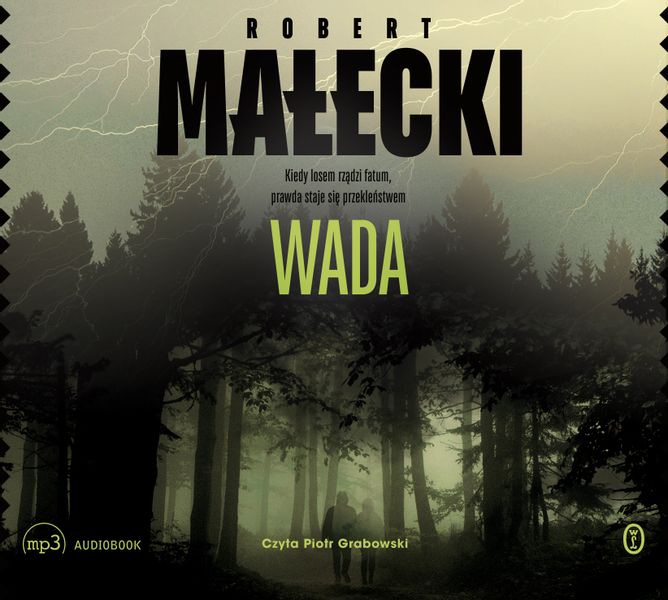 (mp3) Wada zdjęcie 1