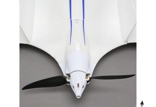 E-flite Opterra 2M Wing BNF Basic na Arena.pl