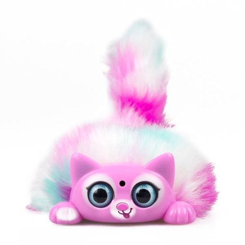 FLUFFY KITTY wzór 2 na Arena.pl