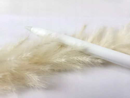 Apple Pencil 2. generacji - rysik do iPad na Arena.pl