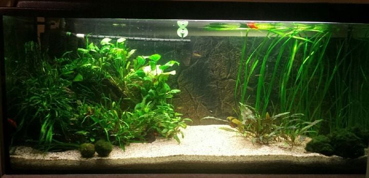 NATURALNY ŻWIREK 1-4 mm 25 kg AKWARIUM zdjęcie 8