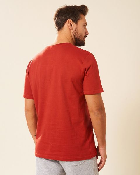 Koszulka męska ceglasta Aleksander Rozmiar - L zdjęcie 2