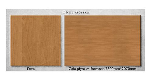 Szafka na buty ubrania ELZA SM Olcha - szafa z półkami na Arena.pl