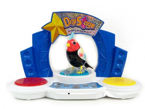 DIGIBIRDS NA SCENIE ŚPIEWA 55 na Arena.pl
