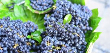 Suplement diety na wzrok Best Lab Best EyeShield 30 kapsułek na Arena.pl