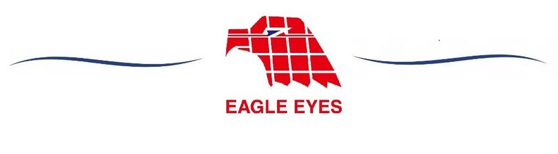 LAMPY Reflektory DO BMW E46 OD 1998 DO 2001 SEDAN / TOURING  RINGI LED zdjęcie 7