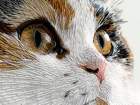 Plakat 40x30cm Nitkowany Kot