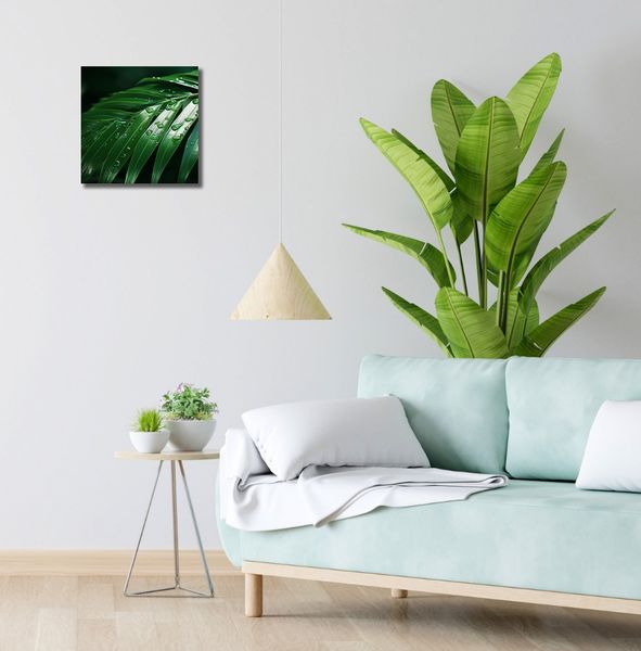 Obraz 30x30cm Żywa Łagodność zdjęcie 2