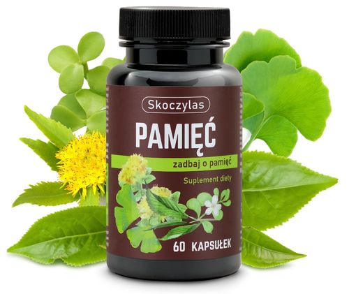 PAMIĘĆ miłorząb, bakopa, ginkgo biloba, różeniec na Arena.pl