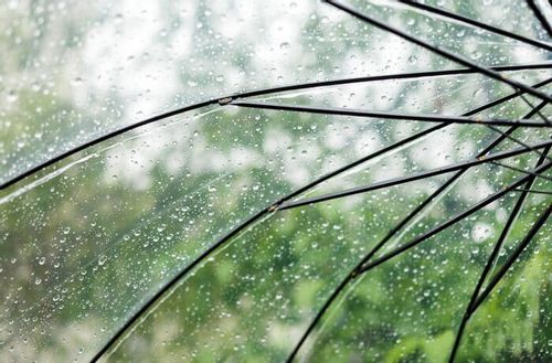 Parasol przeciwdeszczowy Parasolka transparentna na Arena.pl