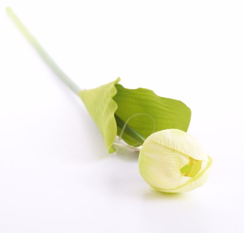 Tulipan 55cm zielony na Arena.pl