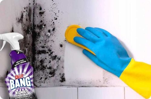 cillit bang power cleaner pleśń i czarne osady 750ml spray na Arena.pl