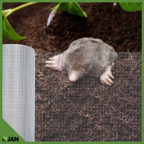 Siatka przeciw Gryzoniom 6x6x0,65 ocynk Hodowlana Na Woliery Zgrzewana 25m2 na Arena.pl