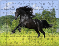Puzzle Konie