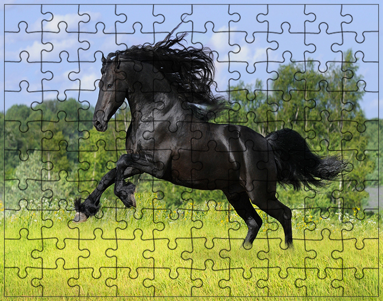 Puzzle Konie zdjęcie 1