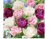 product-compare-61677671