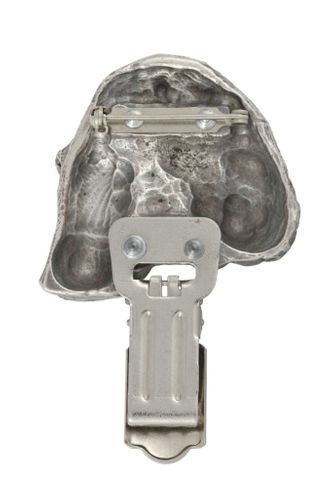 Bedlington Terrier - klips - 2570 na Arena.pl