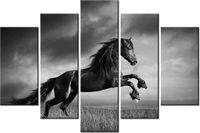 product-compare-58696892