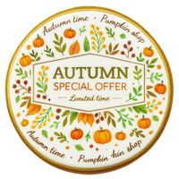 CIASTKO LUKROWANE PUMPKIN SPECIAL ROZ.S KOŁO JESIEŃ RĘCZNIE ROBIONE