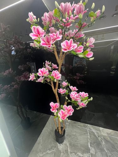 Sztuczne drzewko magnolia Premium 180 cm na Arena.pl