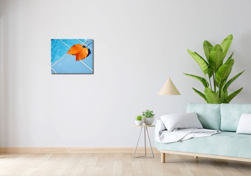 Obraz 50x40cm Liść przy Wodzie na Arena.pl