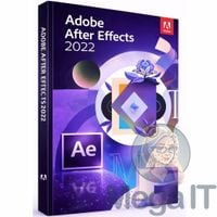 After Effects 2022 - Licencja Wieczysta (LifeTime) - Windows - Użytkownik Indywidualny - BOX (ESD)