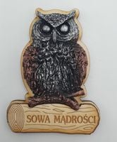 magnes sowa mądrości 9cm 135