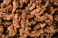 Orzech Włoski łuskany Orzechy Łuskane Świeże Jakość PREMIUM - 1 kg = 1000g