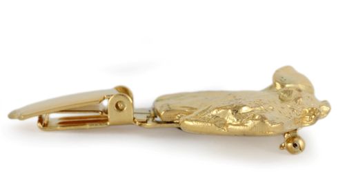 Foksterier - klips - 2620 na Arena.pl