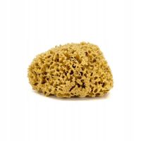 Naturalna gąbka morska do twarzy i ciała M 12-14 cm | delikatna pielęgnacja