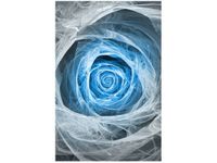 OBRAZ BLUE ROSE