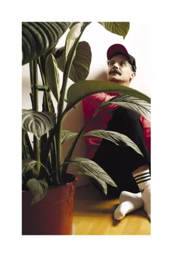 Roślinne Historie na Arena.pl