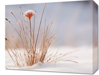 Obraz 50x40cm Zima w Detalach