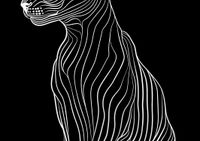 product-compare-59409079