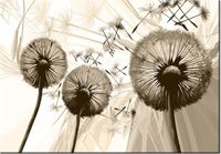 product-compare-58712405