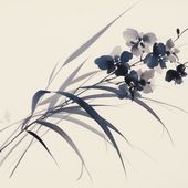 Plakat 40x40cm Orchidea w Sepii