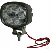Lampa Robocza LED, owalna 30W 3000lm Z Wtyczką