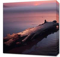 Obraz 50x50cm W Oczekiwaniu Na Koniec