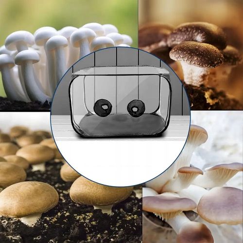 Namiot POJEMNIK do DOMOWEJ UPRAWY GRZYBÓW Składany MOBILNY Przenośny XL na Arena.pl