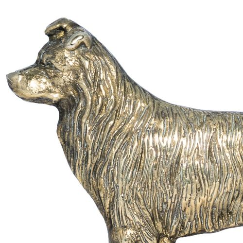 Border Collie - tabliczka - 1699 na Arena.pl