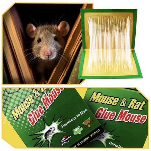 LEP NA MYSZY SZCZURY PUŁAPKA 60x ŁAPKA MYSZOŁAPKA SILNY MOCNY KLEJ na Arena.pl
