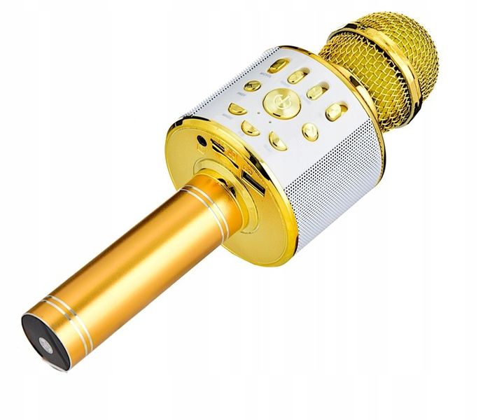 MIKROFON KARAOKE GŁOŚNY Z LAMPKAMI LED DMX ECHO zdjęcie 1