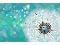 product-compare-58712463