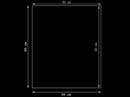 60Cm 50Cm Obraz Ścienny Kiwi Druk Płótno Dekoracja na Arena.pl