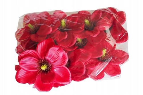 Gąbka mokra florystyczna cegła pianka zielona 20 sztuk ! na Arena.pl