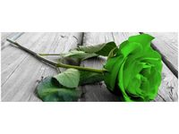 100X40CM LIMONKOWA RÓŻA DESKACH OBRAZ DREWNO