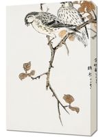 Obraz 40x60cm Siskin and Euonymus Alata, Kashu Vintage do Salonu