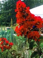 product-compare-61063215