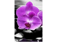 40X60CM OSTOJA PIĘKNA OBRAZ